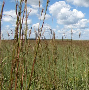 download 2 - Citizens for a Brighter Franklin County